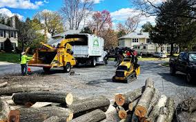 Best Seasonal Cleanup (Spring/Fall)  in Runaway Bay, TX